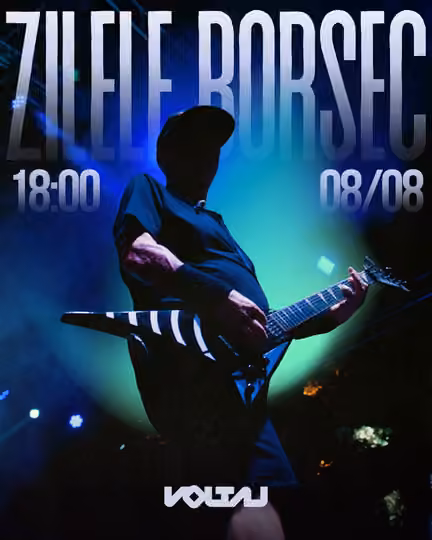 Voltaj concert poster — Zilele Borsec, 8 August · 18:00